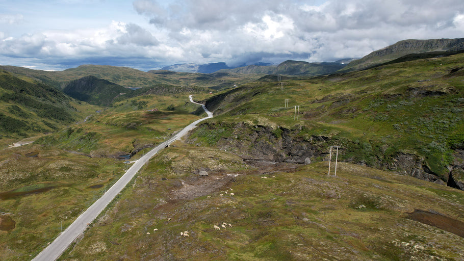 DJI_0849